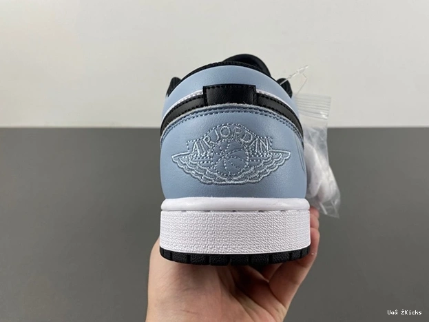 2989 1 EyeCatching Air Low Jordan 29 553558-132T 0619